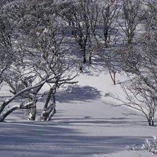 Thredbo